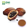 /product-detail/theobromine-20-cocoa-bean-extract-cocoa-powder-60460764546.html