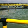 /product-detail/aquaculture-fish-farming-cages-60570450354.html
