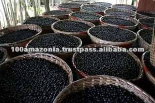 acai paneiros.jpg
