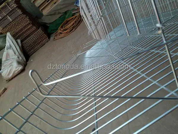 New design bird trap cage with great price