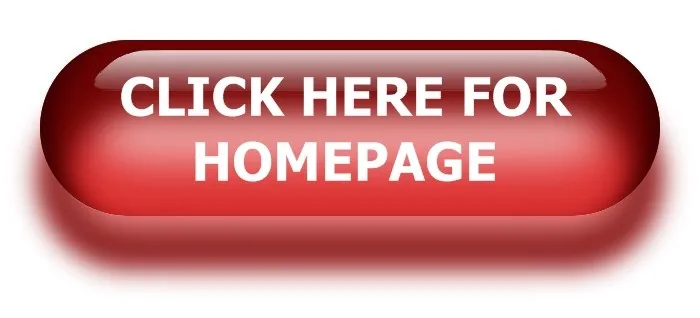 back-to-homepage-button-home-button-te