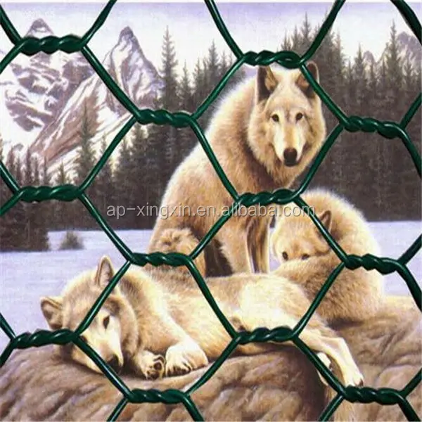 Used Hexagonal Mesh Fence For Sale Cheap Chicken Coops ...