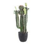 2019 ホット販売クラシックデザイン人工緑の植物シミュレーションプラスチックサボテン家の装飾のため