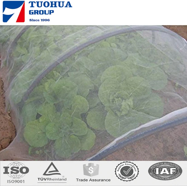anti insect net36.jpg