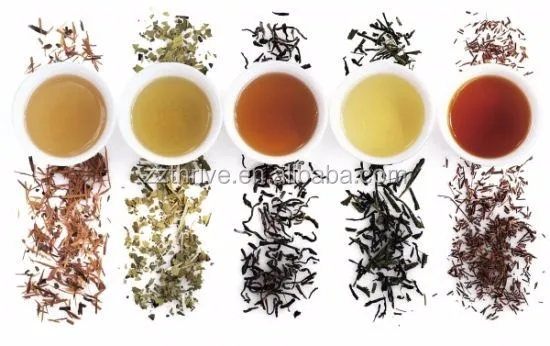 Black Currant tea rolled machine,Tea leaf steaming machine,Tea cylinder water-removin machine