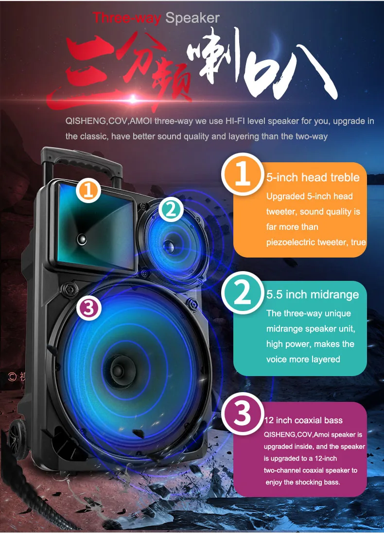 COV Private Mould NEW Promotional party Speaker, Good Sound plastic portable trolley speaker with Mega bass 12 inch /FM - ANKUX.COM