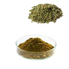 HONGDA Supply Men Sex Health Damiana Leaf Powder Damiana Leaf Extract Damiana Leaf