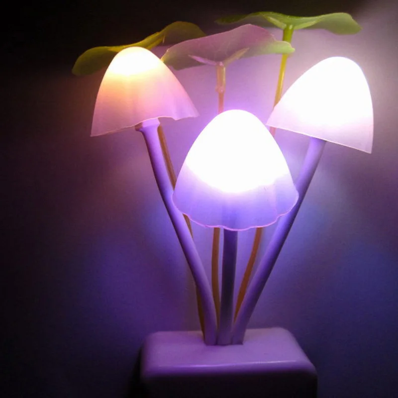 night light  (10)