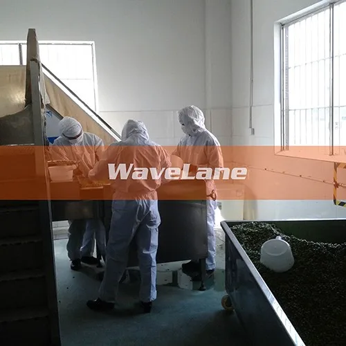 High Efficiency Microwave Nuts Drying Machine Manufacturer