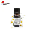 Wholesale Sales Repairs Sensitive Skin Anti-aging Chamomile Essential Oil