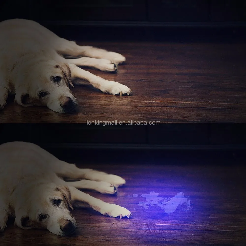 9led uv flashlight (4)
