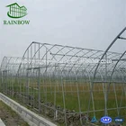Long service time agriculture production SIngle span film greenhouse