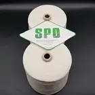 China Manufacture Supplier 50Nm/1 100% Silk Noil Yarn Open End Yarn for Muslin Saree