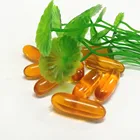 GMP Certified Product Herbal Softgel Capsules Supplement at Bulk Price