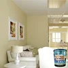 alkali mildew Custom color design interior wall latex paint with primer