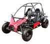/product-detail/new-ce-go-kart-150cc-gas-power-kangdi-buggy-price-tkg150-k3--62159527773.html