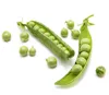 /product-detail/high-quality-organic-vegetable-pea-seeds-62031492333.html