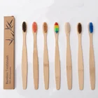 Travel Home Hotel Use Biodegradable Nylon Charcoal Bamboo Toothbrush Bristles Toothbrush
