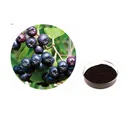 ISO Certificated 100% Natural Aronia Melanocarpa Extract Powder, HPLC30% anthocyanin,Aronia Chokeberry Extract