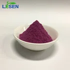 High Quality Dark Plum Fruit Juice Powder