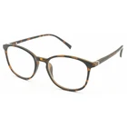 Best Color Italy Designer Readers Plastic Optics Progress Men and Women Reading Glasses with Metal Decoration