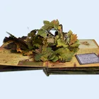 Offset printing company for handmade pop up books 3D books