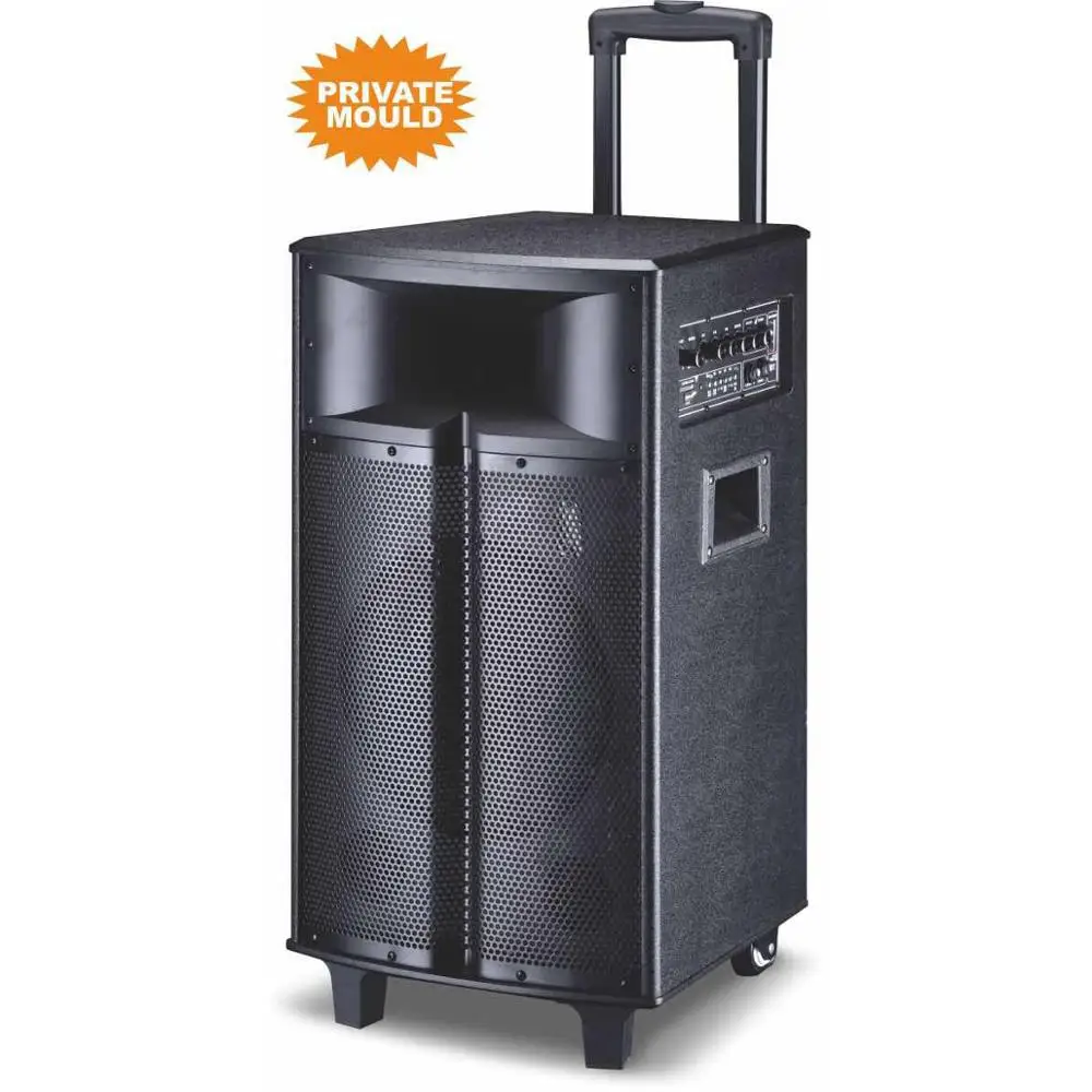 12 pollici karaoke amplifiered pa altoparlante - ANKUX Tech Co., Ltd