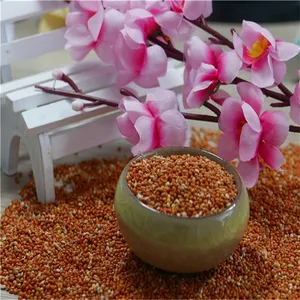 14 products found for  chinese red broomcorn millet  us $500-600