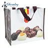 Popular Europe Standard Custom Recyclable PP Woven bag