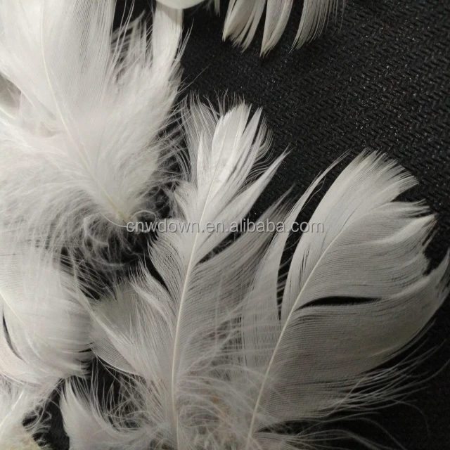 goose feather factory