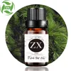 /product-detail/100-pure-pine-tar-oil-for-chemical-use-60013606653.html