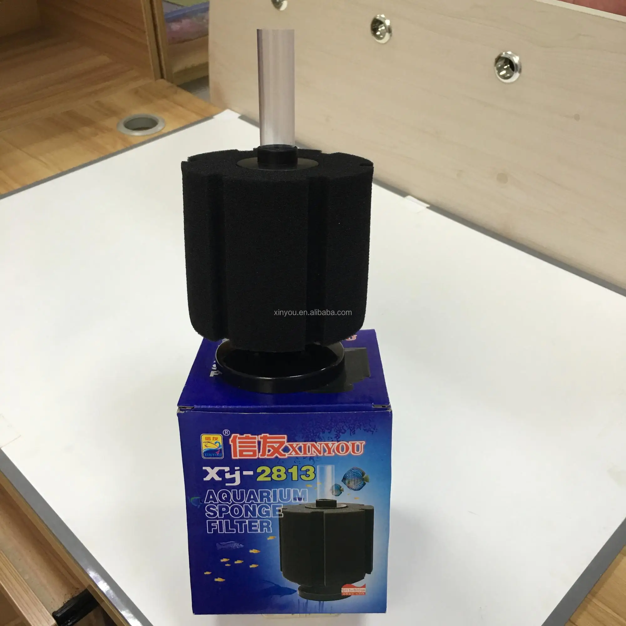 XY2813.jpg