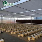 Hydroponic cultivation system greenhouse