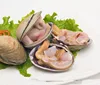 New Shellfish Frozen Purple Washington Clam