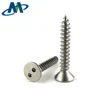 Stainless Steel Snake Eyes Self Tapping Anti-theft Security Screws