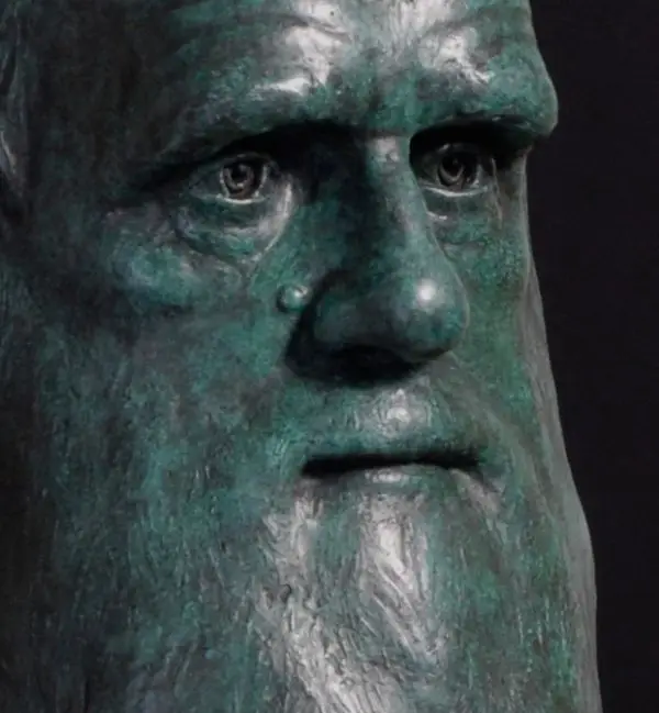 charles_darwin_5.jpg