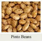 pinto beans