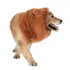 Superior quality China Wholesale Funny Pet Lion Costumes , Halloween Dog Clothes accessories