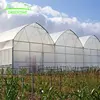 /product-detail/hot-sale-and-easily-installed-multi-span-industrial-greenhouse-62135256298.html
