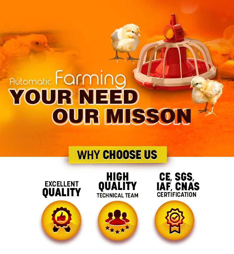 Get A Wholesale Poultry Hook For Your Animal Farm 