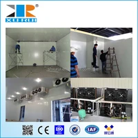 CE Certification Fully Automatic Control System