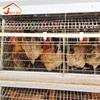 New Design Chicken Layer Cages Nigeria Poultry Farm Ladder Type Folding Chicken Cage For Sale