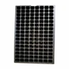 Swellder 72 Cell Deep Root HIPS Plastic Nersery Seed Starting Tray for SugarCane Seedling Propagation
