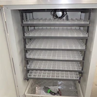 China Factory Manufacture Hot Sale chicken cage for sale in kerala