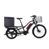 /product-detail/mid-drive-electric-family-cargo-bike-bicycle-with-rear-carrier-ebike-with-box-60772382400.html