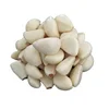 Chinese Fresh Hand peeled garlic, Vacuum packed Peeled Garlic