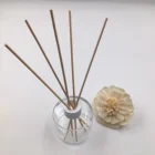 Reed Diffuser Set Perfume Reed Fragrance Diffuser Bottle Set For Air Freshener