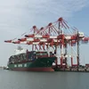 Low Price bulk coal shipping best local shenzhen import and export freight forwarder agent drop service with a cheap