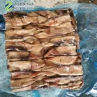 todarodes pacific squid tube wing on