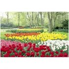 yinfeng scenery wall paper picture painting paper poster Image photo printing wall poster